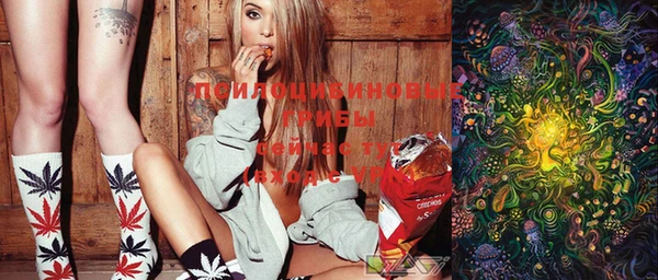 MDMA Premium VHQ Бородино
