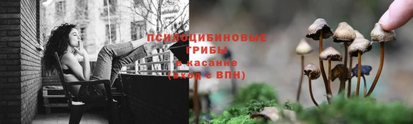 трава Бугульма