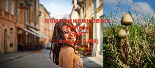 трава Бугульма