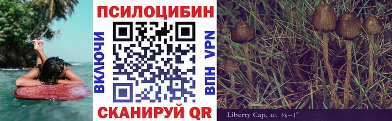 Купить  Усть-Катав  Псилоцибиновые грибы GOLDEN TEACHER 